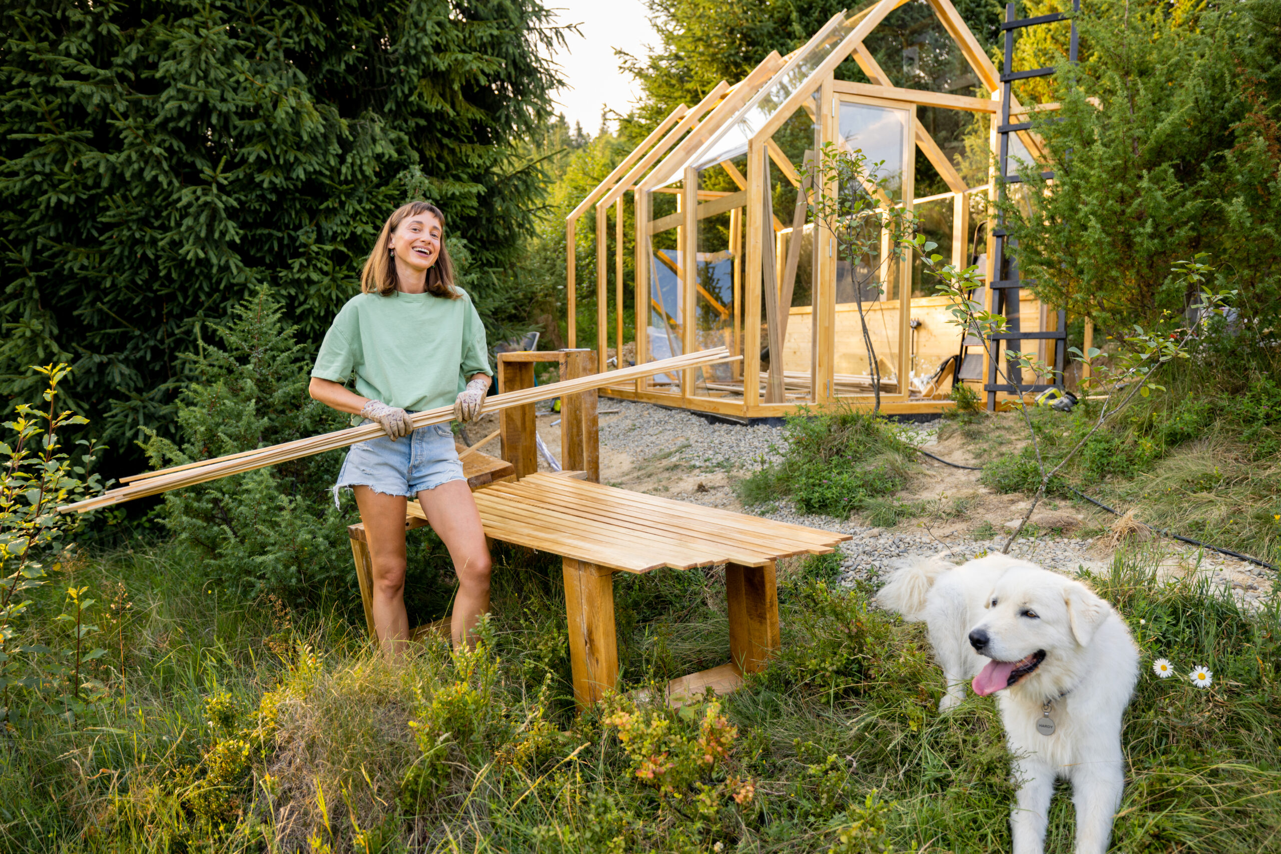 Best DIY Dog House Projects You Can Build Today