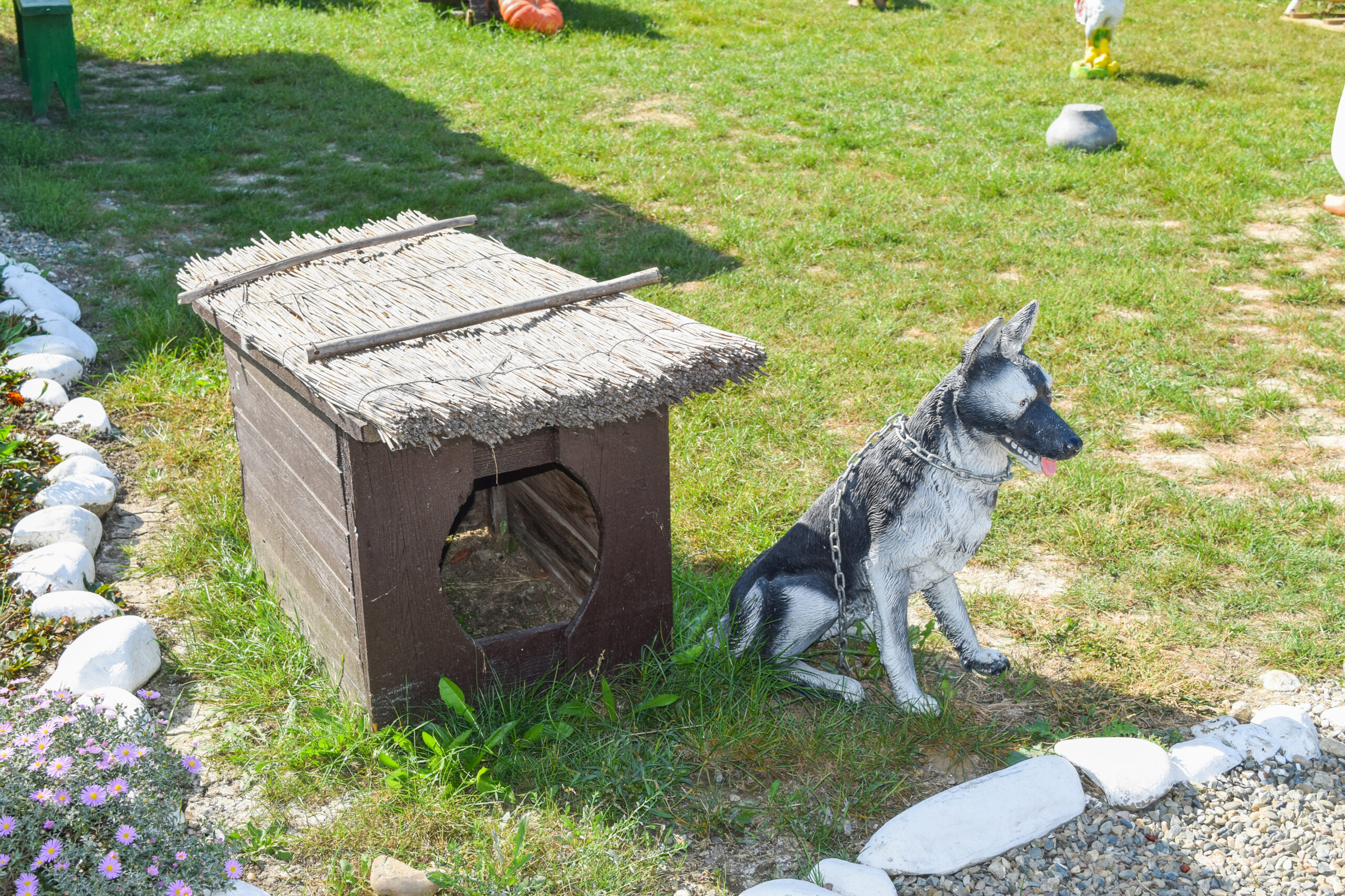 Top Tips for Building a Safe Dog Kennel