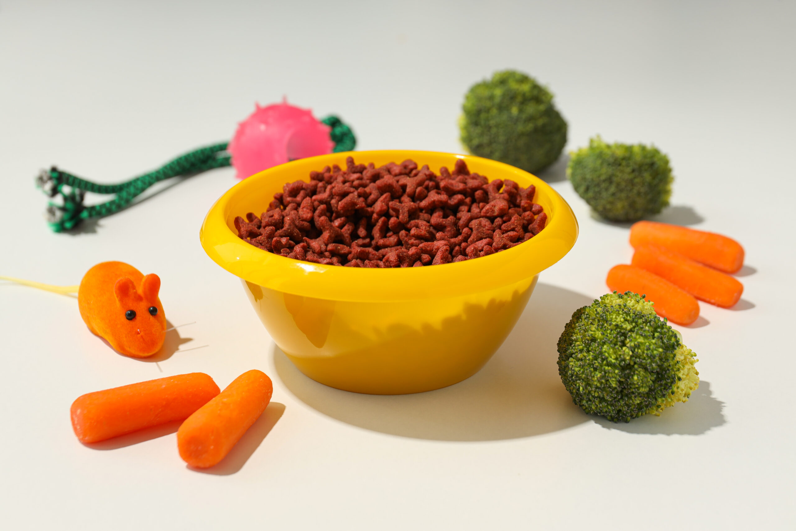 Creative Raw Dog Food Recipes Your Pup Will Love